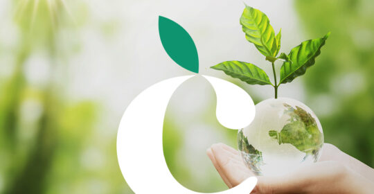 World Environment Day: Citrusmade’s commitment to a sustainable Future