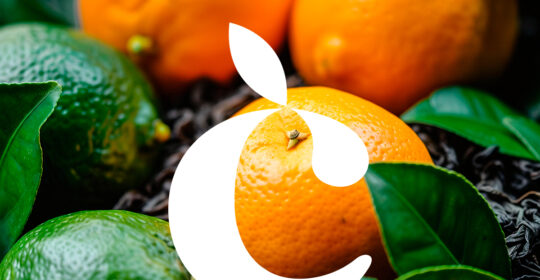 Respecting the cycle of nature: the essence of seasonality in citrus fruits